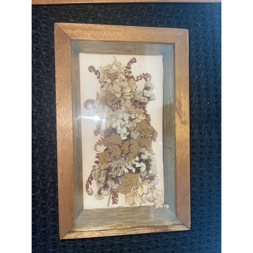 Vintage Dried Flowers Petals In Shadow Box Wood‎ Framed Wall Art Set of 2